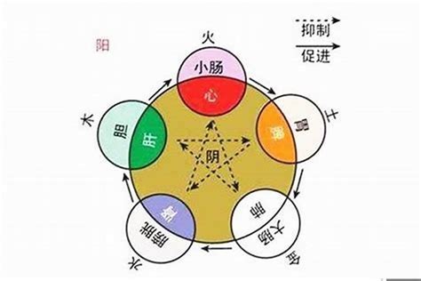 僖五行|浠字的五行属性